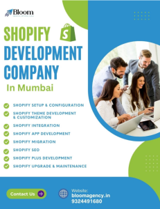 Shopify Development Agency